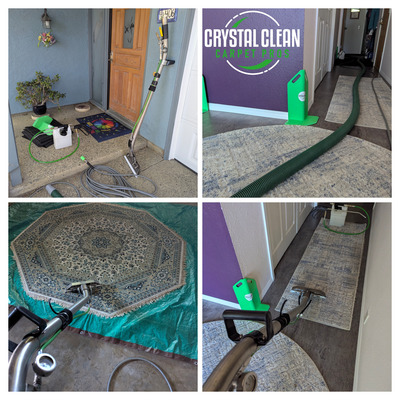 Area Rug And Carpet Cleaning Service Project in Davis CA 95616