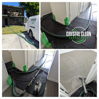 Carpet Cleaning In Vacant Property Unit Project in Davis CA 95616