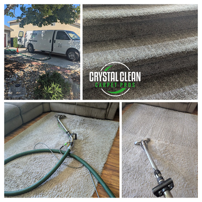 Carpet Cleaning With Pet Treatment And Deodorizer Project in Davis CA 95618