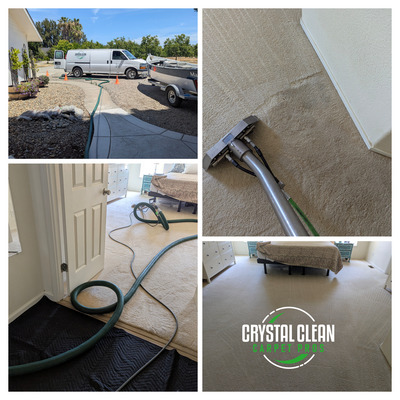 Pet Stain Removal And Carpet Cleaning Service Project in Davis CA 95616