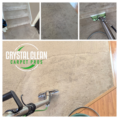 Pet Stain Removal And Carpet Cleaning Project in Davis CA 95618