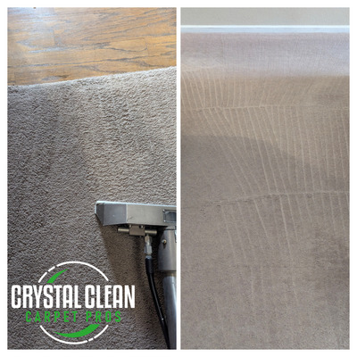 Pet Stain Removal Service Project in Davis CA 95616