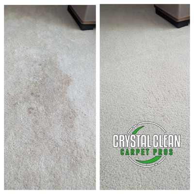 Carpet Cleaning And Pet Stain Removal Project in Sacramento CA 95818