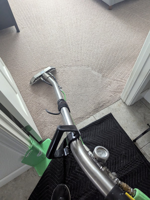 Pet Stain Removal And Carpet Cleaning Project in Woodland CA 95776