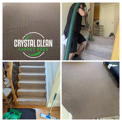 Upholstery Cleaning And Pet Treatment Project in Davis CA 95618