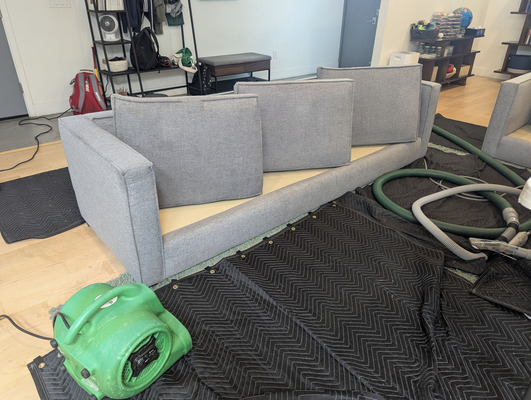 Upholstery Cleaning Service Project in Davis CA 95616