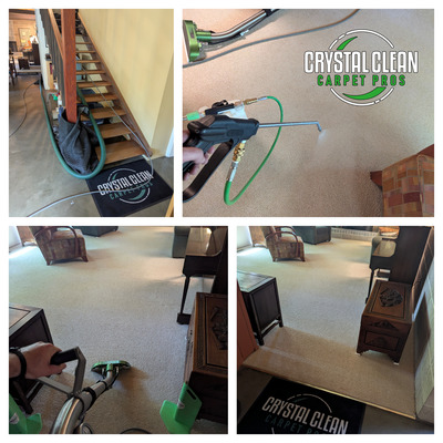 Carpet And Area Rug Cleaning Service Project in Davis CA 95616