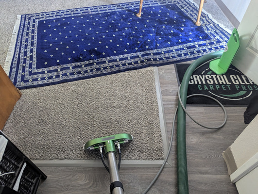 Carpet Cleaning And Oriental Rug Care Project in Sacramento CA 95821