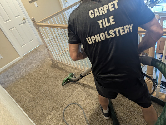 Carpet Cleaning And Pet Stain Removal Service Project in Davis CA 95616