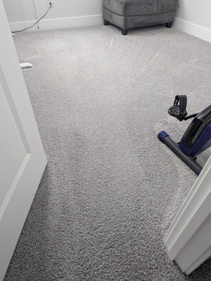 Carpet Cleaning And Pet Stain Removal Project in West Sacramento CA 95691