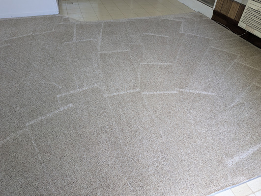 Carpet Cleaning In Large Family Room Project in Davis CA 95616