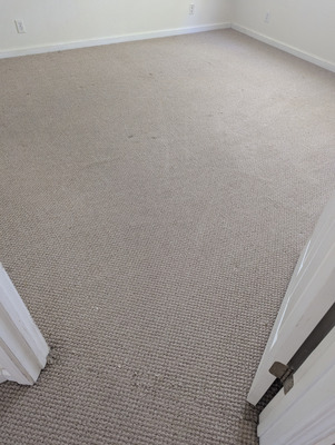 Carpet Cleaning With Pet Stain Treatment Services Project in Davis CA 95618