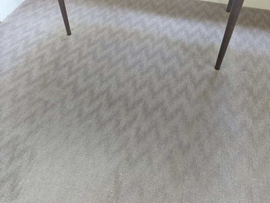 Carpet Stain Removal And Cleaning Project in Sacramento CA 95816