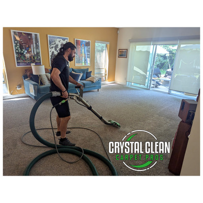 Pet Odor Removal And Carpet Cleaning Services Project in Davis CA 95618