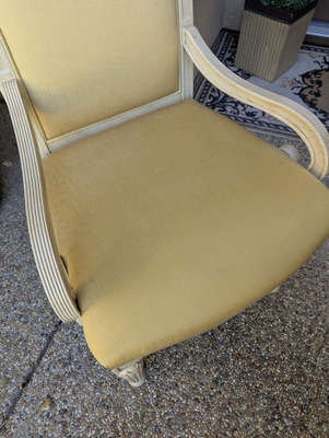 Pet Stain Removal Project in Lincoln CA 95648