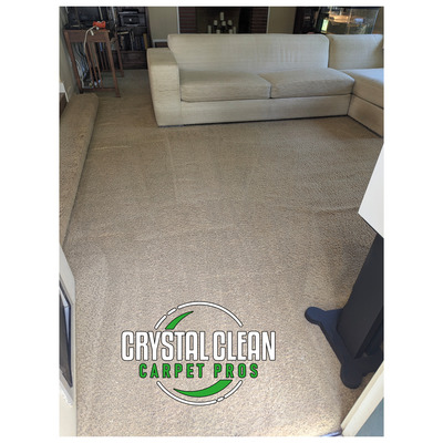 Pet Stain Removal Project in Woodland CA 95695