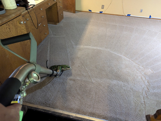Steam Carpet Cleaning Service Project in Davis CA 95616