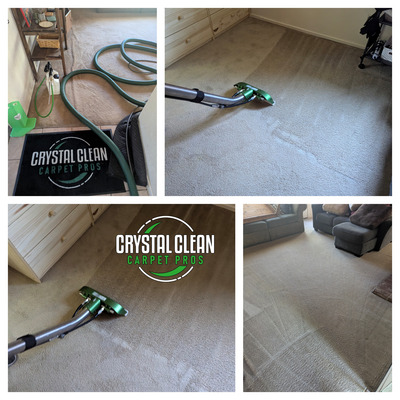 Carpet Cleaning With Pet Treatment And Deodorizer Project in Davis CA 95616