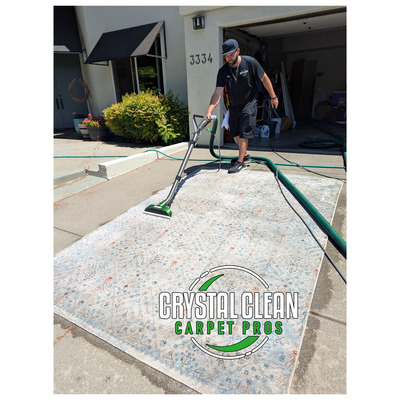 Pet Stain Removal And Area Rug Cleaning Service Project in Davis CA 95616