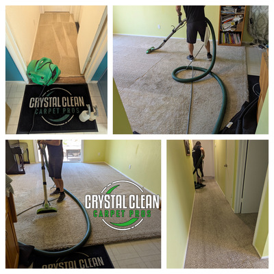 Carpet Cleaning In Living Room And Hallway Areas Project in Davis CA 95616