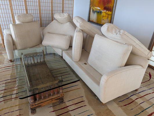 Rug And Sofa Cleaning With Deodorizing Treatment Project in Davis CA 95616